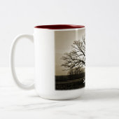 Mok Champion Bur Oak (Links)