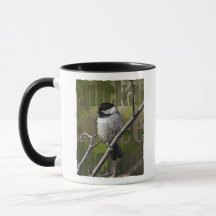 Mok Chickadee Combo