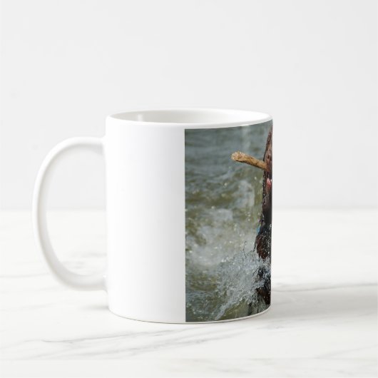 Mok Chocolade Lab (Links)