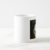 Mok Chritmas Mindy Bishon (Center)