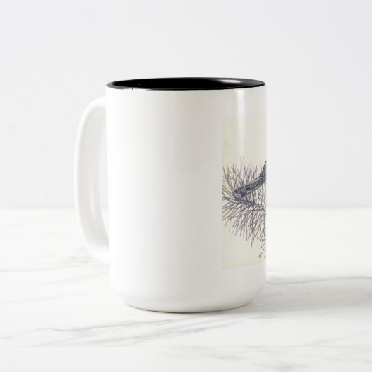 Mok cichorei Pencil Schetch Coffe (Voorkant links)