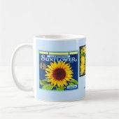 Mok - Claremont CA - Fruit Crate Labs (Links)