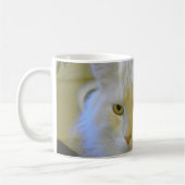 Mok Coffee Pet Maine Coon Cat Bentley (Links)