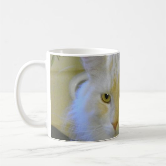 Mok Coffee Pet Maine Coon Cat Bentley (Links)