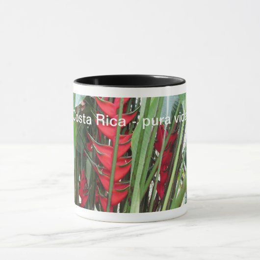 Mok Costa Rica (Midden)