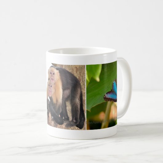 Mok Costa Rica (Voorkant rechts)