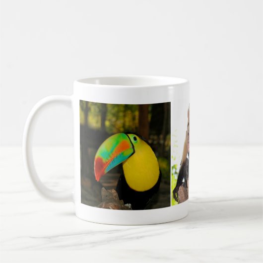 Mok Costa Rica (Links)