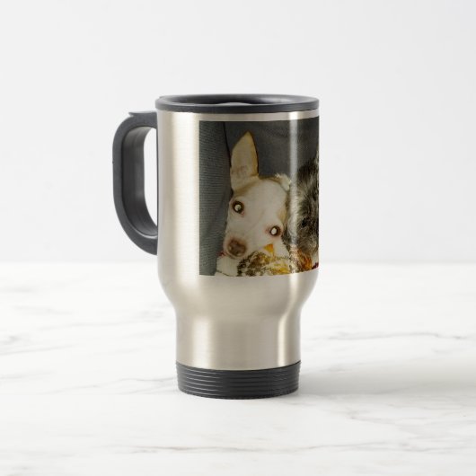 Mok Cricket en Maybelline (Voorkant links)