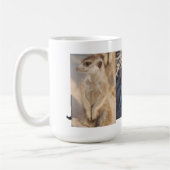 Mok Cruise Meerkat (Links)