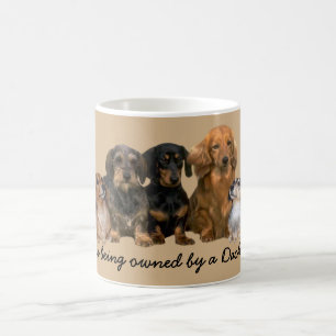Mok Dachshund Gang