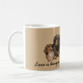 Mok Dachshund Gang (Links)