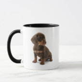 Mok Dachshund Puppy Coffee (Links)