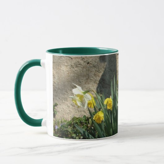 MOK DAFFODILS (Links)