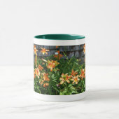 MOK DAYLILEN (Midden)