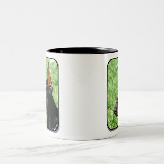 mok doberman pinscher (Center)