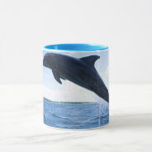 Mok Dolphin Frequency (Midden)