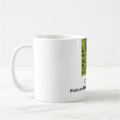 Mok - Dominica (Links)