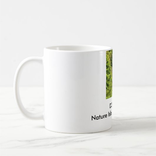 Mok - Dominica (Links)