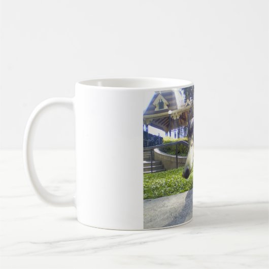 mok "Duck Encounter" koffie (Links)