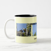 Mok Eagle Season met twee toontonen (Links)