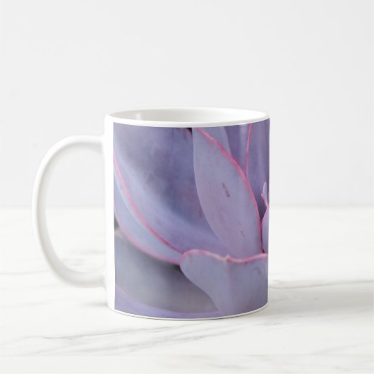 Mok Echeveria "Perle von Nurnberg" (Links)