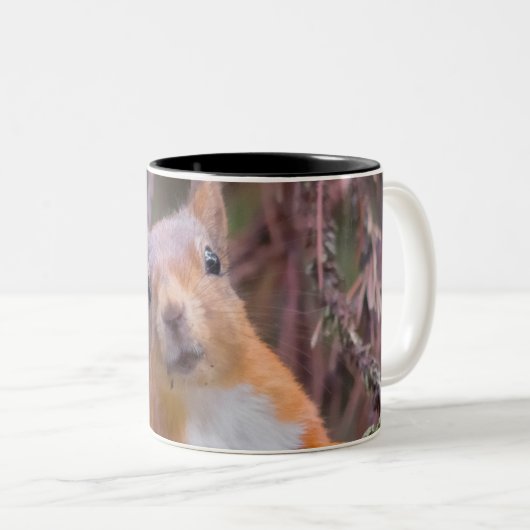 Mok eekhoorn (Voorkant rechts)