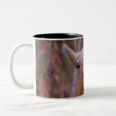 Mok eekhoorn (Links)