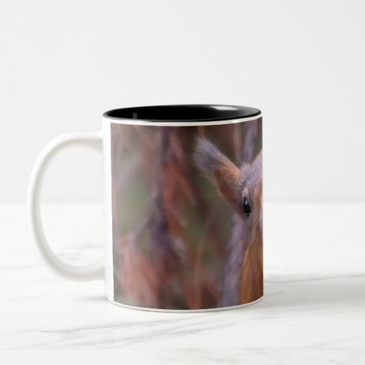 Mok eekhoorn (Links)