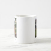 Mok eekhoorn (Center)