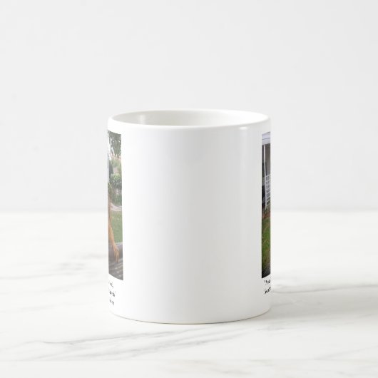 Mok eekhoorn (Center)