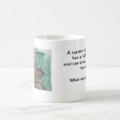 Mok eekhoorn (Center)