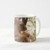 Mok eekhoorn (Voorkant rechts)