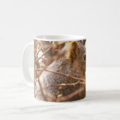 Mok eekhoorn (Voorkant links)