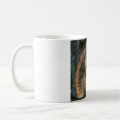 Mok eekhoorn (Links)