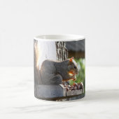 Mok eekhoorn (Center)