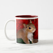 Mok eekhoorn (Links)