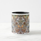 Mok eekhoorn (Midden)