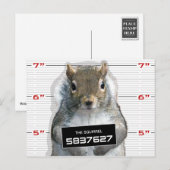 Mok eekhoorn briefkaart (Voorkant / Achterkant)