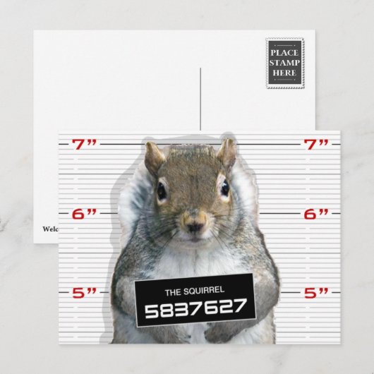 Mok eekhoorn briefkaart (Voorkant / Achterkant)