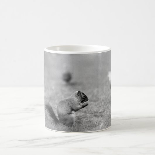 Mok eekhoornkoffie (Center)