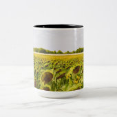 mok "Een droomgebied" (Center)