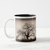 Mok eikenbomen (Links)