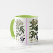 Mok Elderberry Sambucus (Voorkant links)