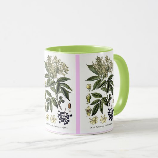 Mok Elderberry Sambucus (Voorkant rechts)