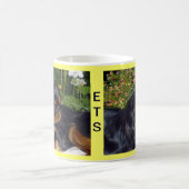 Mok Engels Speelgoed Spaniel (Center)