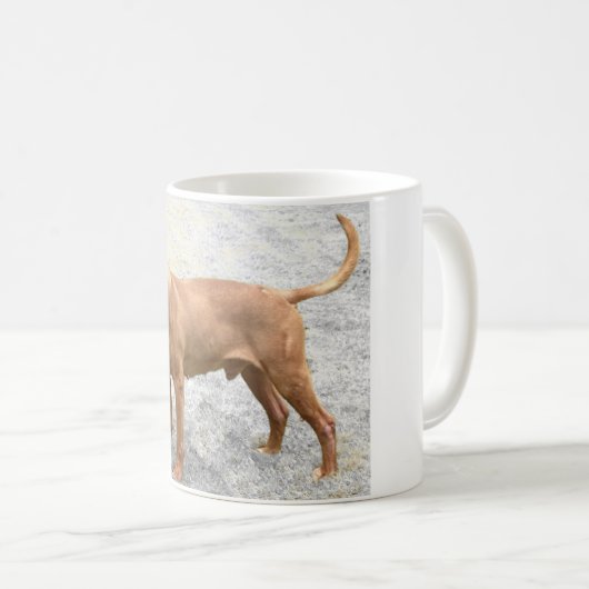 Mok Engelse bull Terrier (Voorkant rechts)