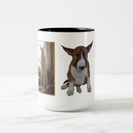 Mok Engelse bull Terrier