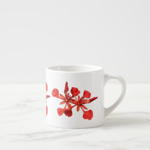 Mok Expresso Royal Poinciana