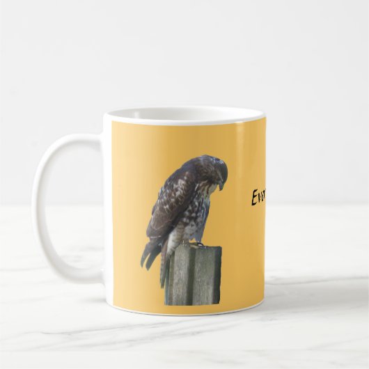 Mok - Falcon - Altijd waakzaam (Links)