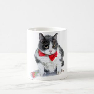 Mok: Felix, de kat in februari Koffiemok
